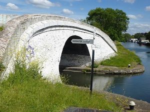 I could've kissed it