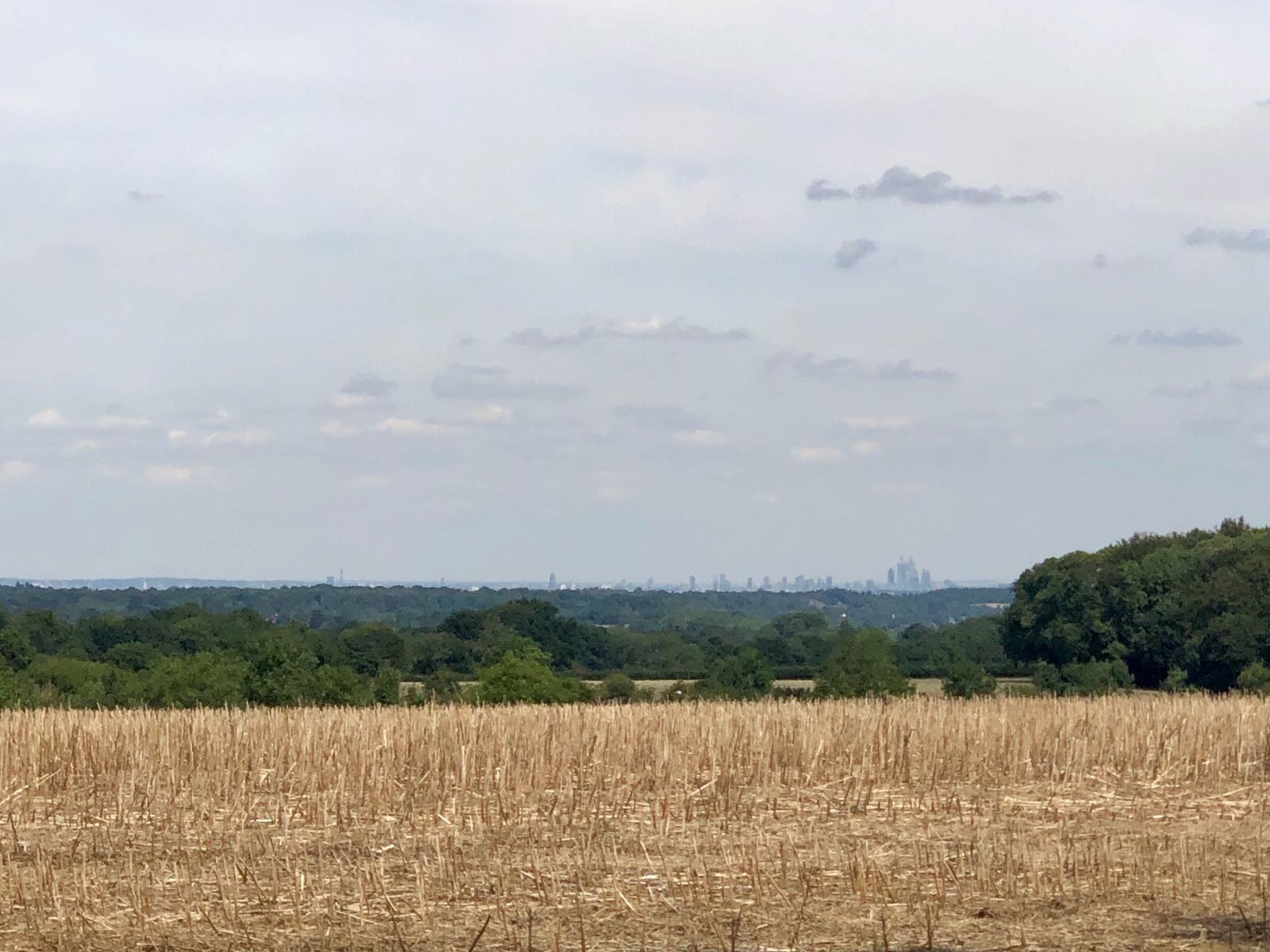 a182748a-8a00-4b77-9ab0-154b00e76525